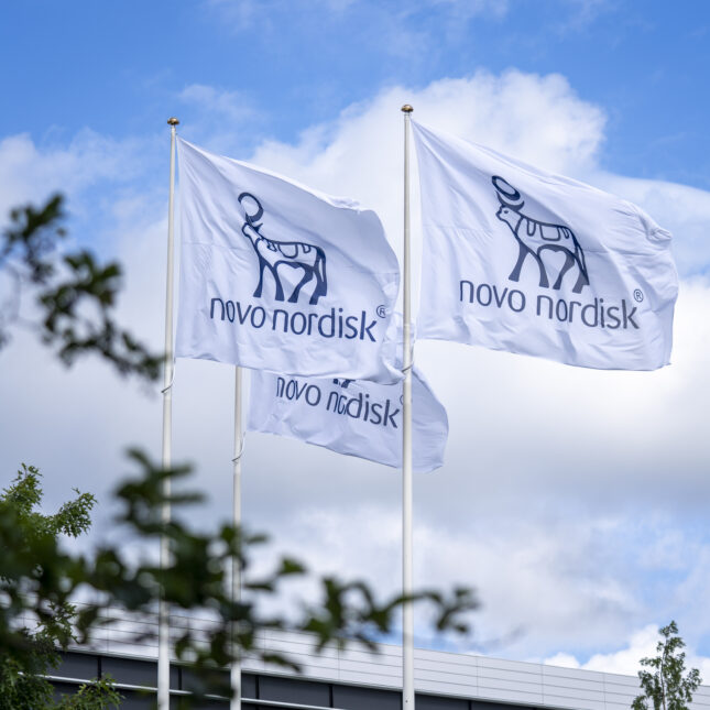 Three white flags with blue Novo Nordisk logos flutter in front of a building, in between the background of a blue sky and white clouds, and the foreground of tree leaves -- pharma coverage from STAT